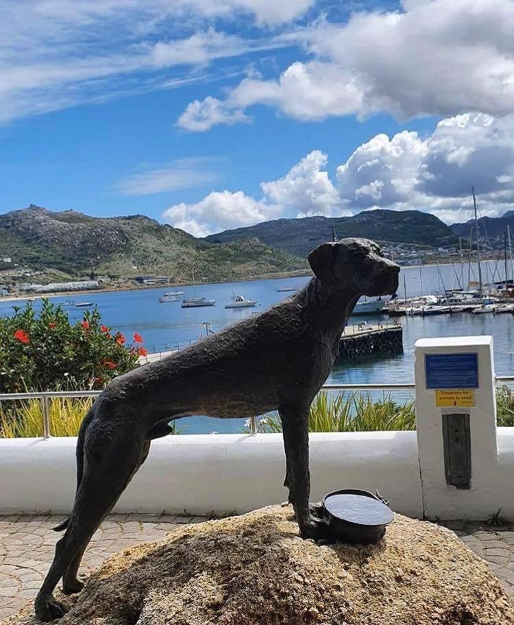 Eindelik Villa Simonʼs Town Kültér fotó